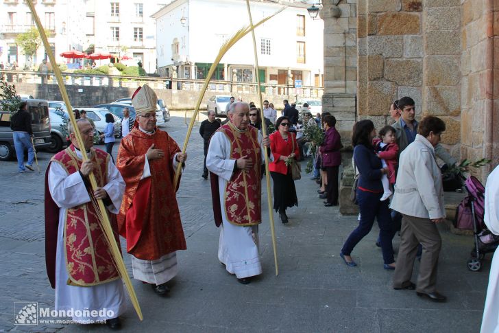 Domingo de Ramos
Procesión de Ramos
