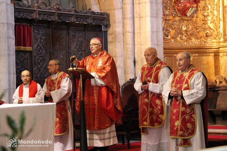 Domingo de Ramos
Procesión de Ramos
