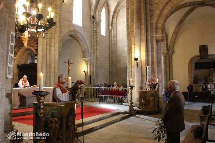 Domingo de Ramos
Procesión de Ramos
