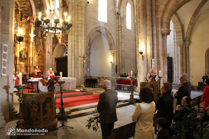 Domingo de Ramos
Procesión de Ramos
