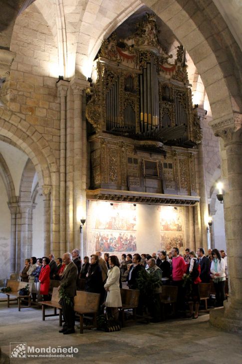 Domingo de Ramos
Procesión de Ramos
