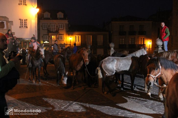 As San Lucas 2011 (17-Oct)
Caballos por Mondoñedo
