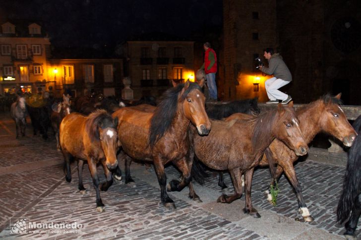 As San Lucas 2011 (17-Oct)
Caballos por Mondoñedo
