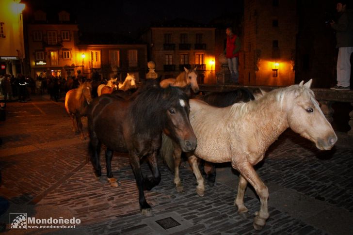 As San Lucas 2011 (17-Oct)
Caballos por Mondoñedo
