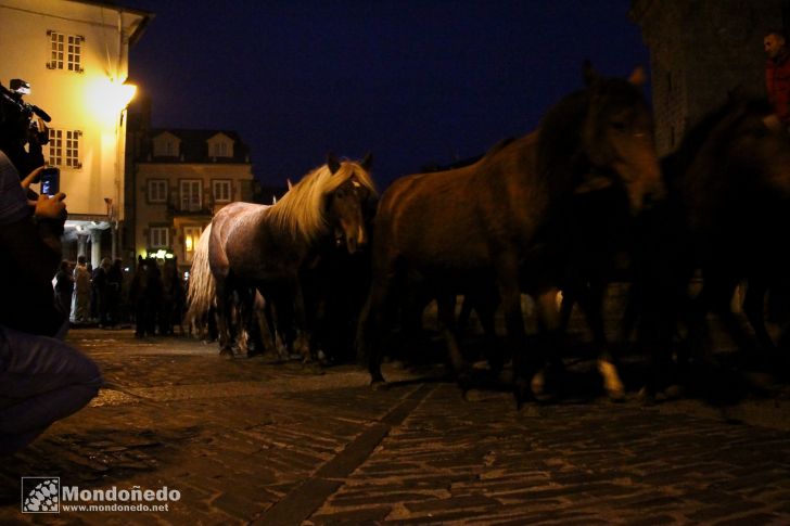 As San Lucas 2011 (17-Oct)
Caballos por Mondoñedo
