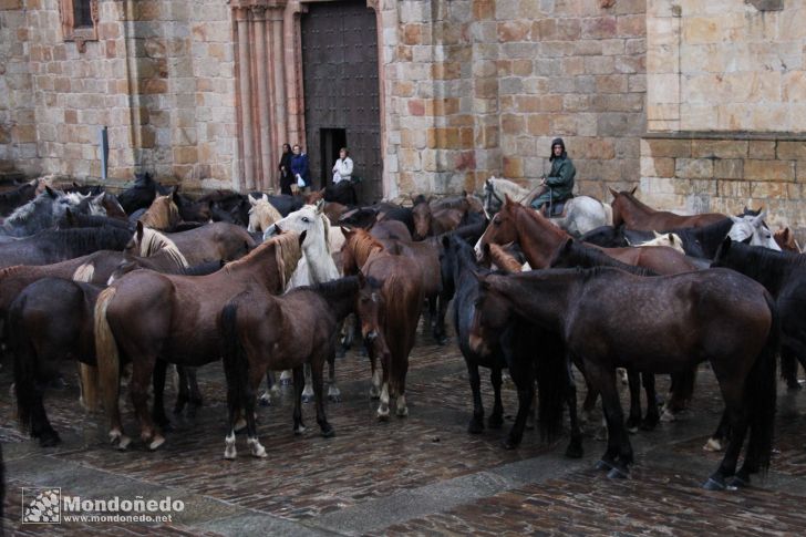 As San Lucas 2012
