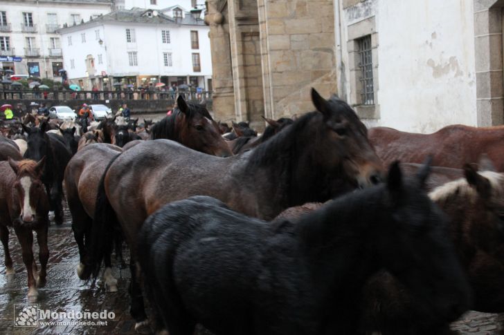 As San Lucas 2012
