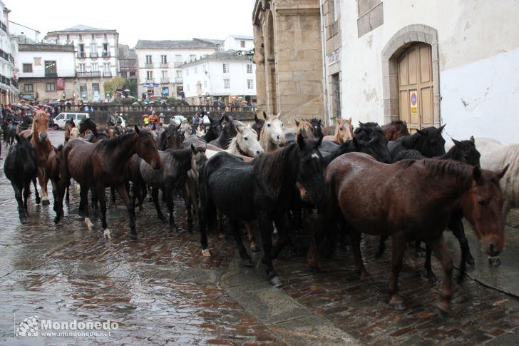 As San Lucas 2012
