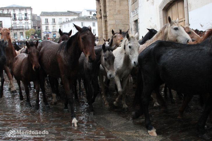 As San Lucas 2012
