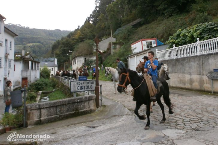 As San Lucas 2013
