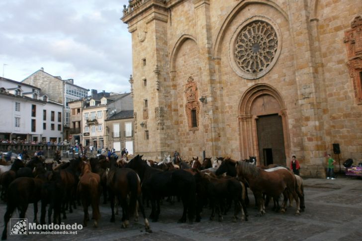 As San Lucas 2013
