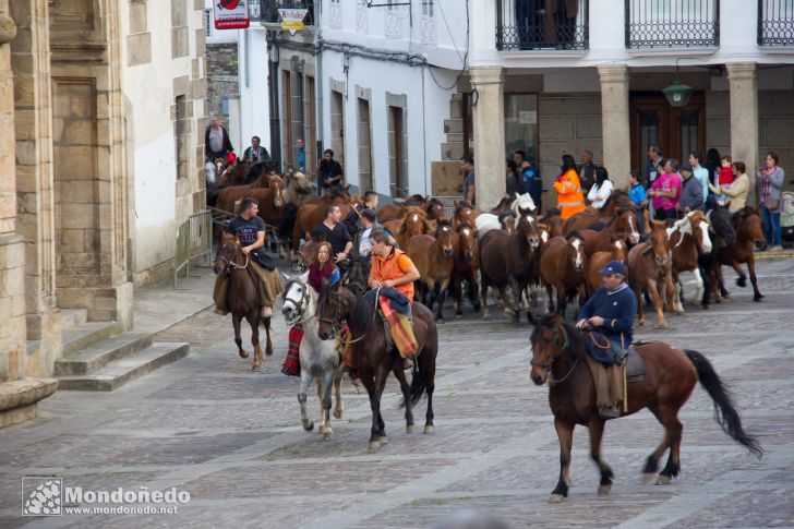 As San Lucas 2014
