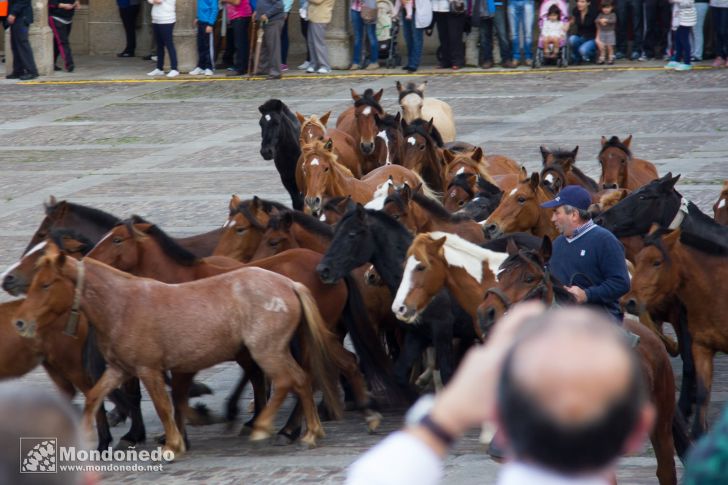 As San Lucas 2014
