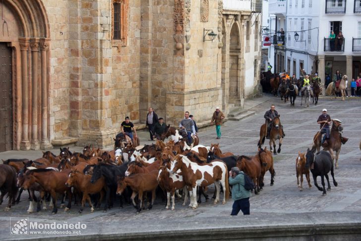 As San Lucas 2014
