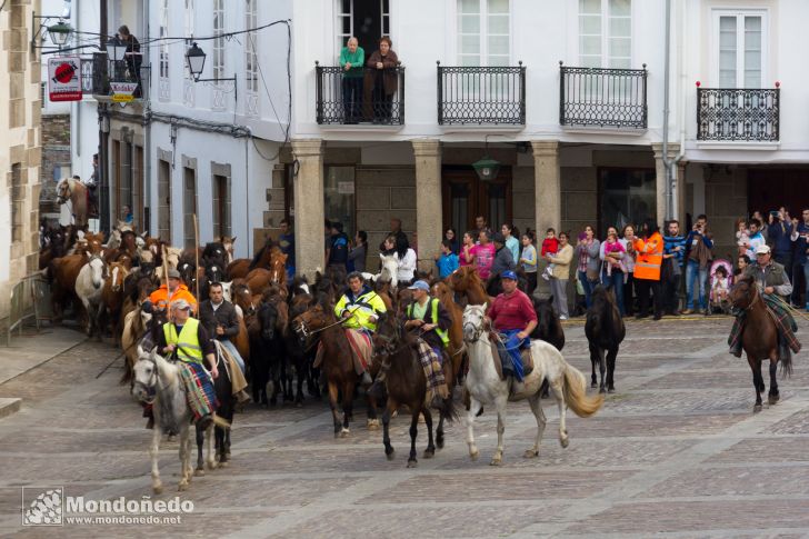 As San Lucas 2014
