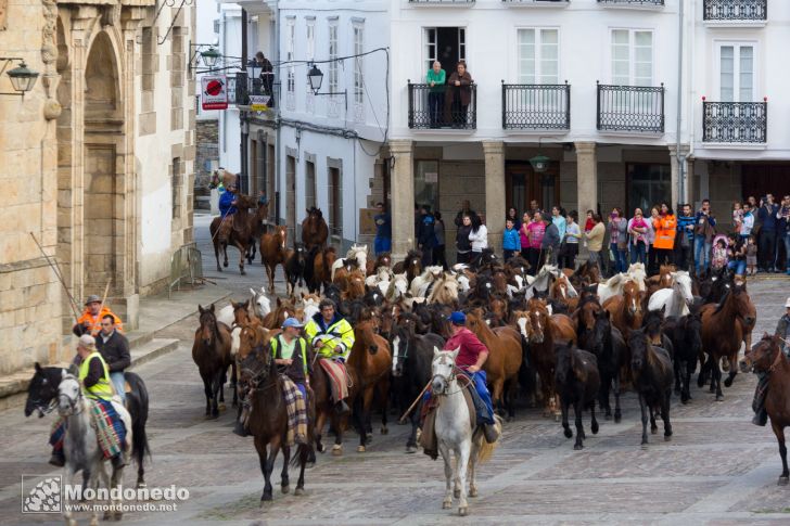 As San Lucas 2014
