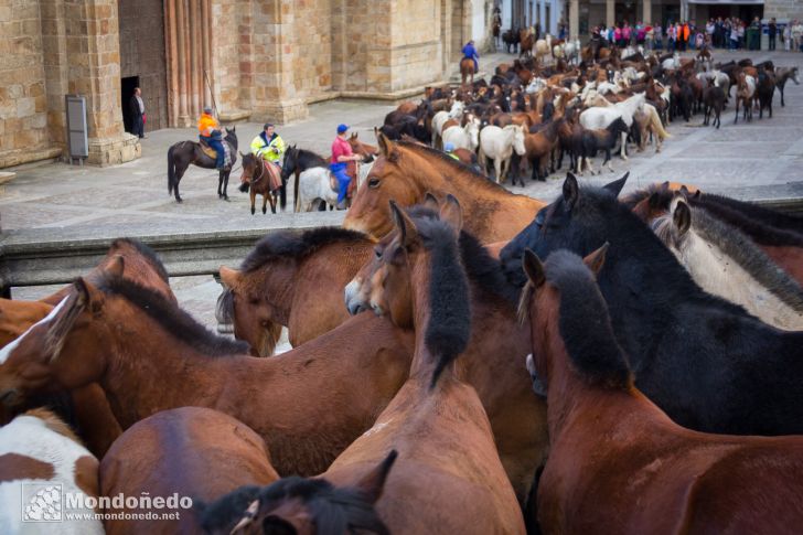 As San Lucas 2014
