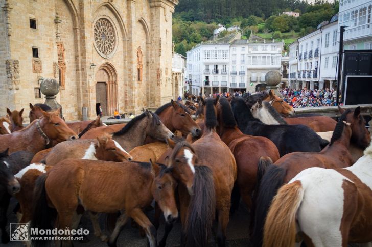 As San Lucas 2014
