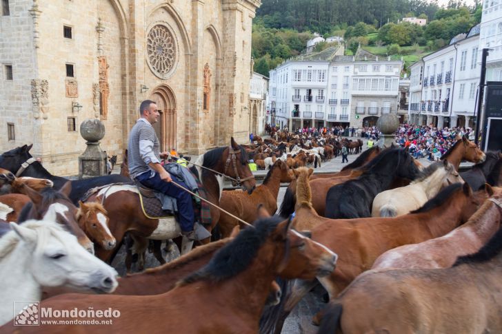 As San Lucas 2014
