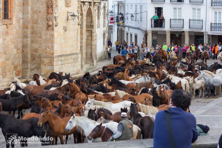 As San Lucas 2014
