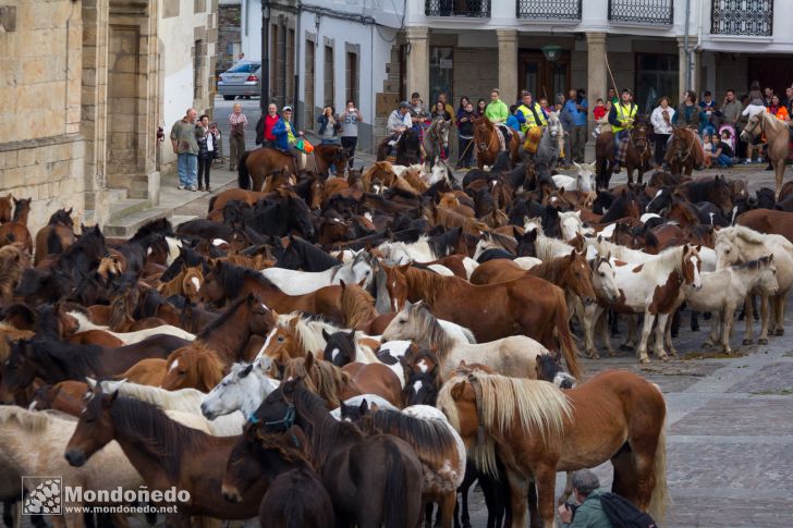 As San Lucas 2014
