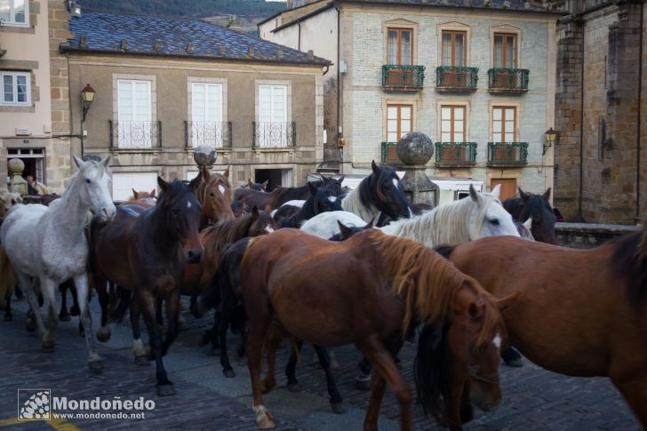 As San Lucas 2014
