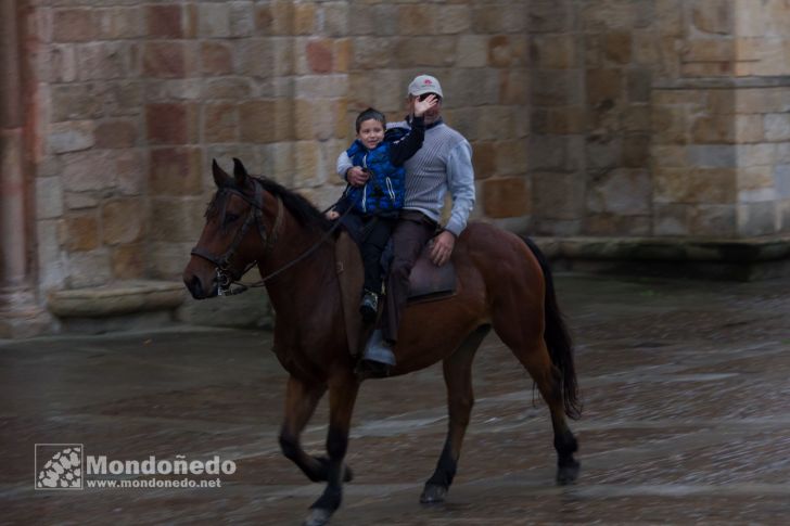 As San Lucas 2016
Llegada de los caballos
