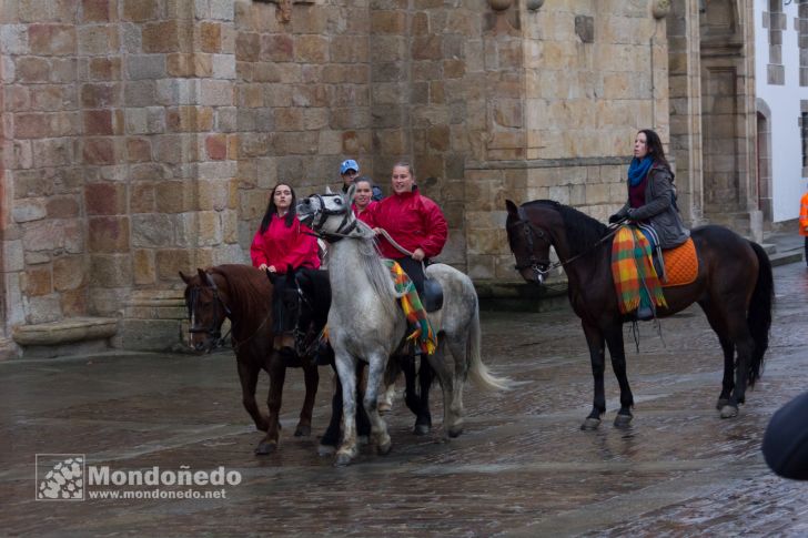 As San Lucas 2016
Llegada de los caballos
