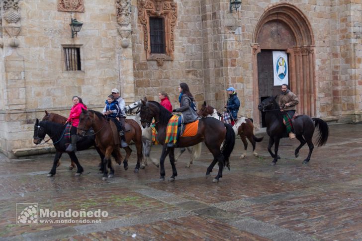 As San Lucas 2016
Llegada de los caballos
