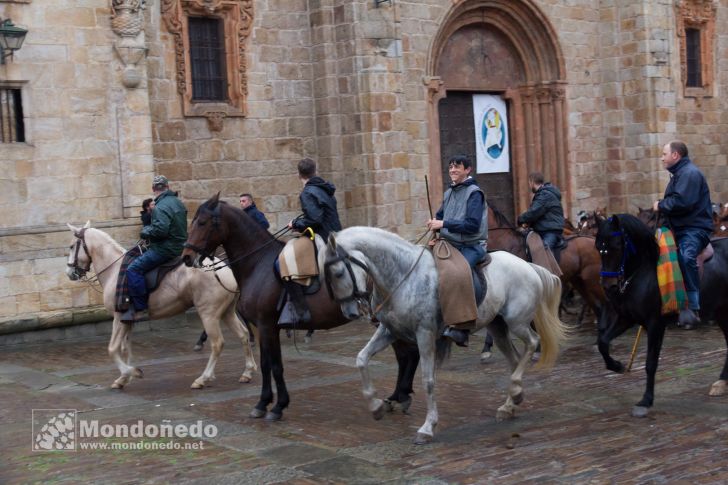 As San Lucas 2016
Llegada de los caballos
