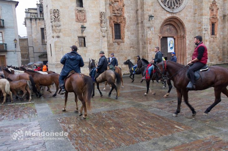 As San Lucas 2016
Llegada de los caballos
