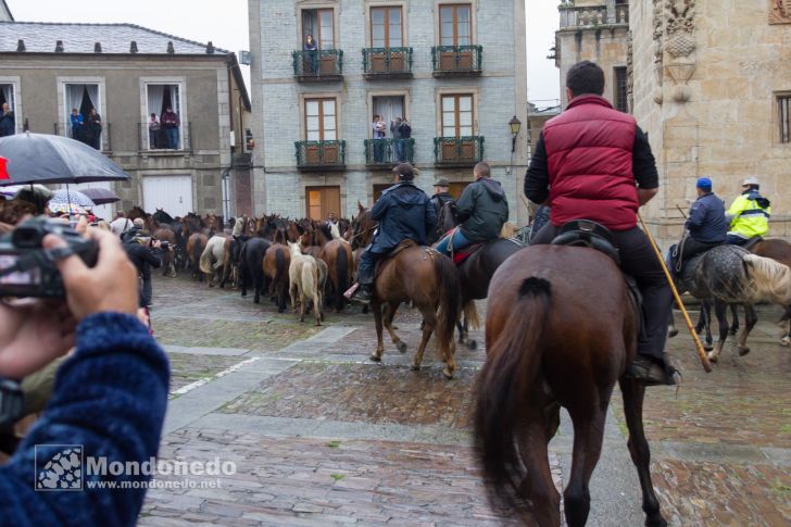 As San Lucas 2016
Llegada de los caballos
