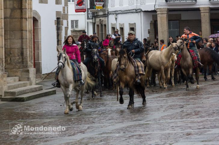 As San Lucas 2016
Llegada de los caballos
