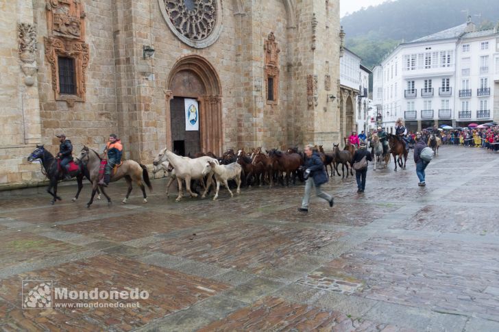 As San Lucas 2016
Llegada de los caballos
