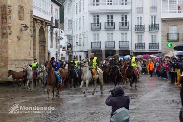 As San Lucas 2016
Llegada de los caballos
