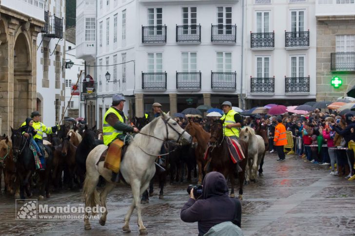 As San Lucas 2016
Llegada de los caballos
