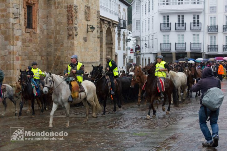 As San Lucas 2016
Llegada de los caballos
