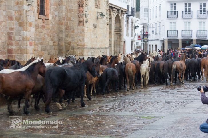 As San Lucas 2016
Llegada de los caballos
