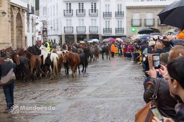 As San Lucas 2016
Llegada de los caballos
