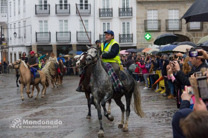 As San Lucas 2016
Llegada de los caballos
