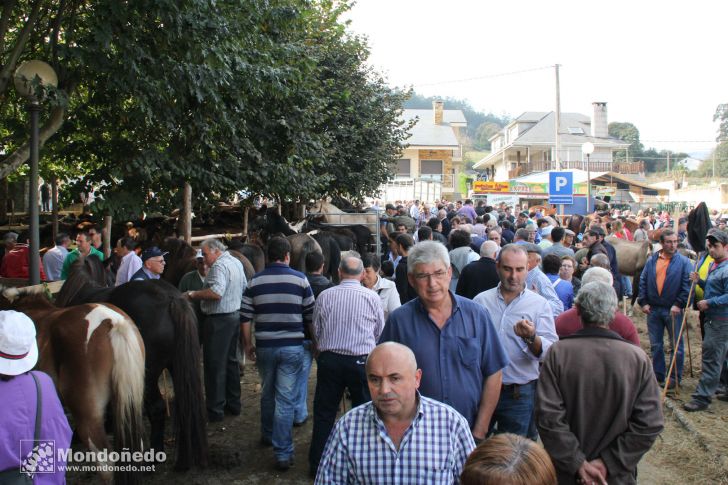 As San Lucas 2011 (18-Oct)
Feria multitudinaria
