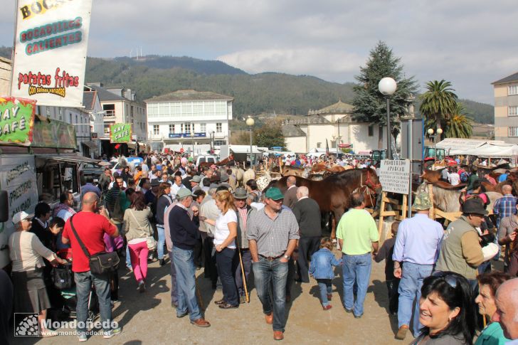 As San Lucas 2011 (18-Oct)
Feria de San Lucas
