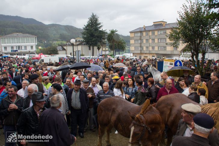 As San Lucas 2014
