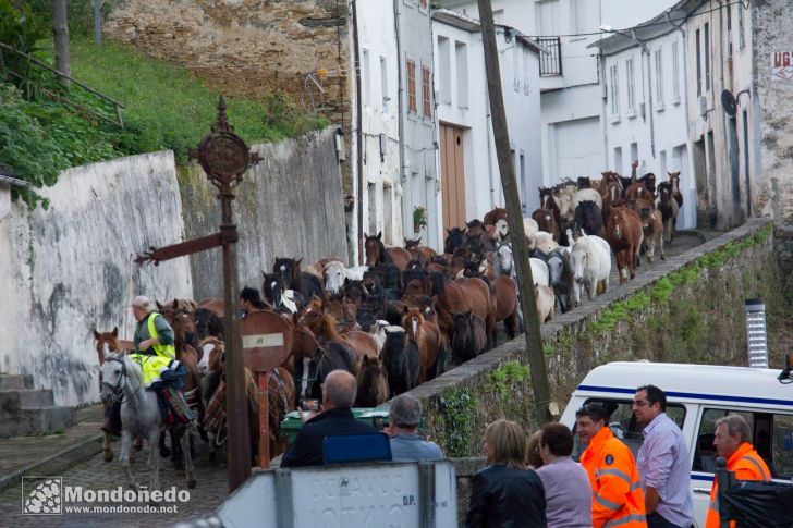 As San Lucas 2014
