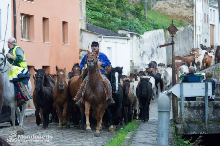 As San Lucas 2014
