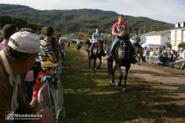 As San Lucas 2013
