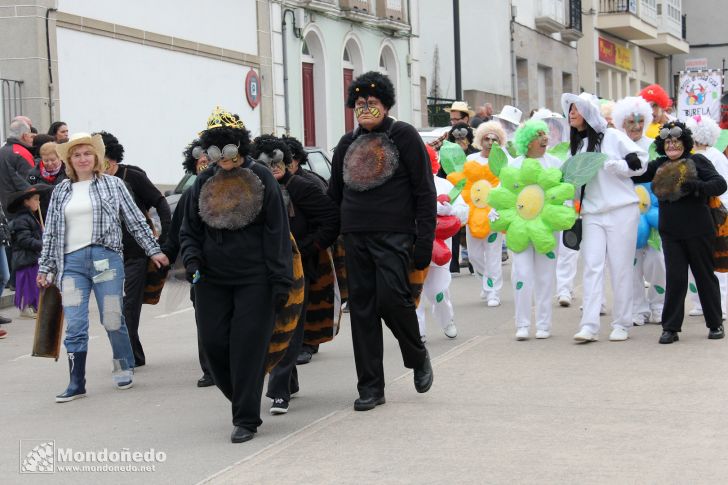 Desfile Antroido 2012
