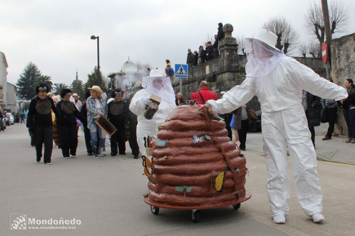 Desfile Antroido 2012
