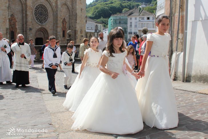 Domingo de Corpus
En procesión
