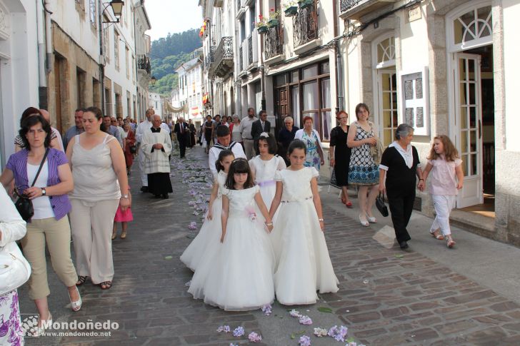 Domingo de Corpus
En procesión
